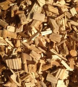 Baumfällarbeiten in Erwitte