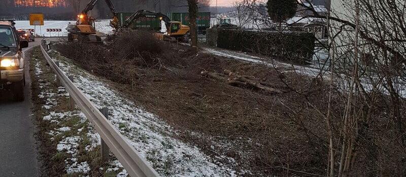 Referenzen Baumfällung