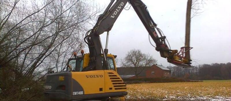 Referenzen Baumfällung