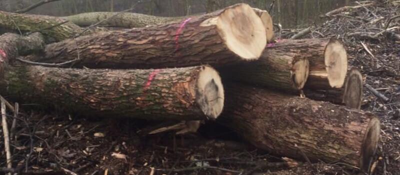 Referenzen - Hackschnitzelhandel