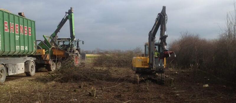 Referenzen Baumfällung