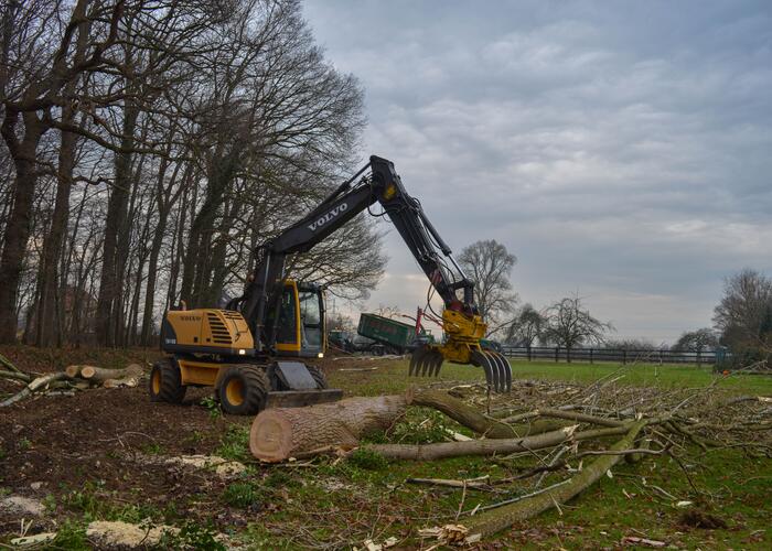 FÄLL-& RODUNGSARBEITEN