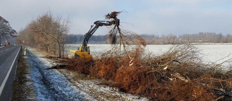 Referenzen Baumfällung