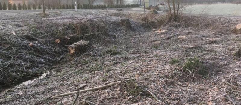 Referenzen Baumfällung