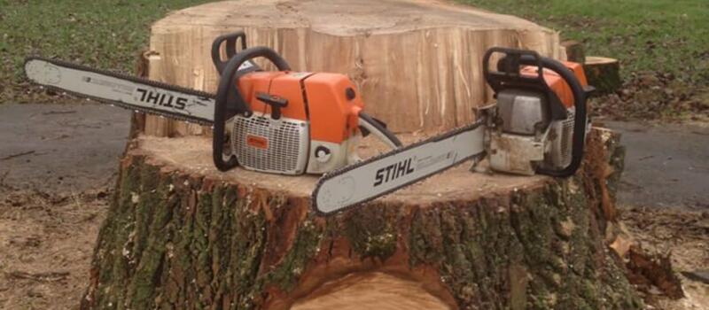 Referenzen Baumfällung