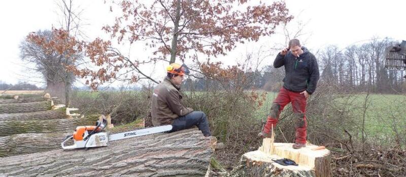 Referenzen Baumfällung