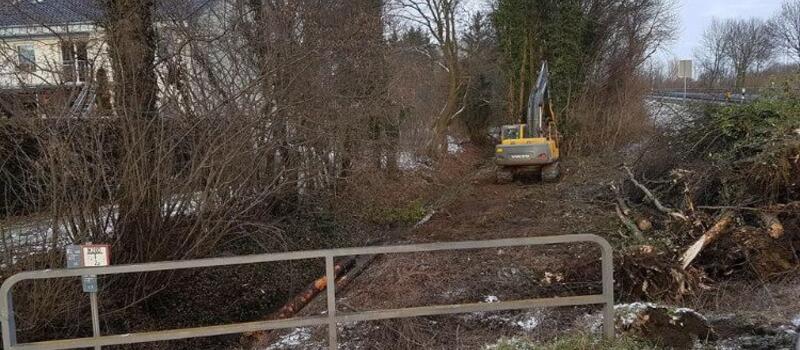 Referenzen Baumfällung