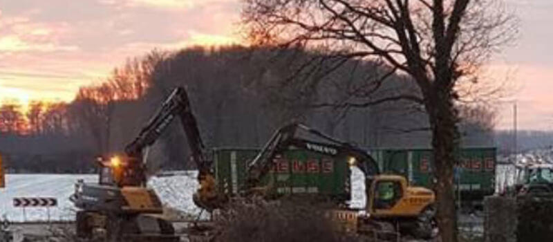 Referenzen Baumfällung