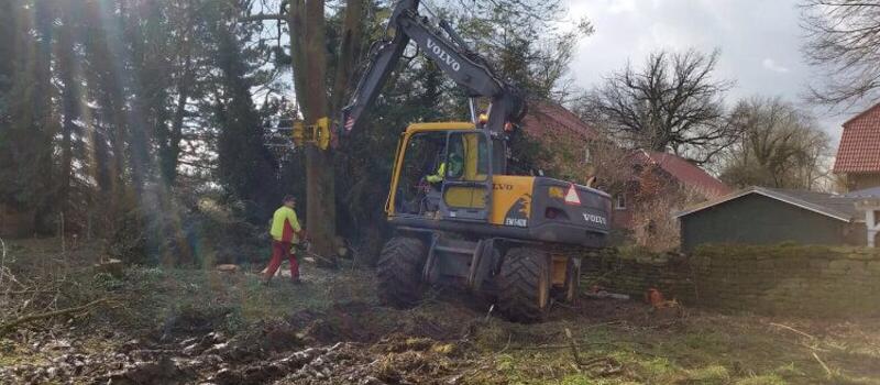 Referenzen Baumfällung