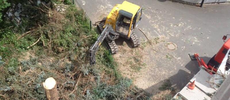 Referenzen Baumfällung