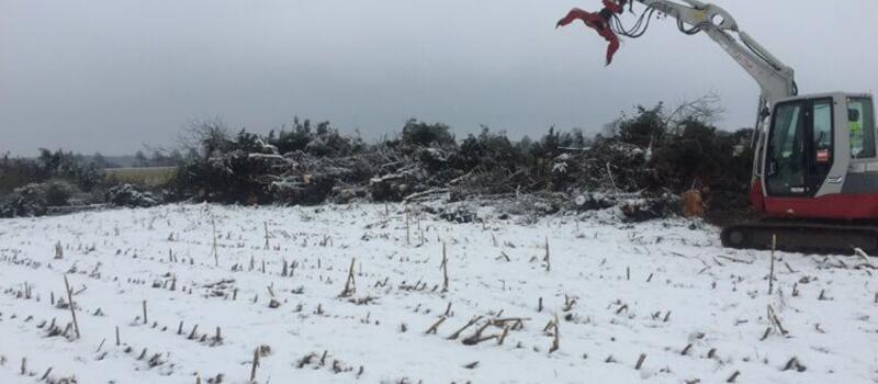 Referenzen Baumfällung