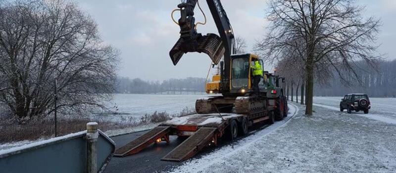 Referenzen Baumfällung