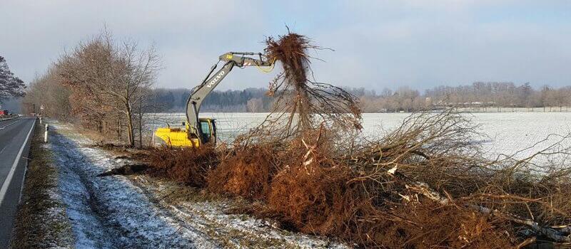 Referenzen Baumfällung