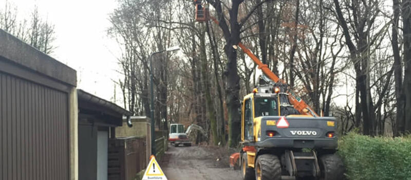 Referenzen Baumfällung