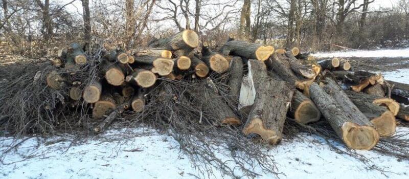 Referenzen - Hackschnitzelhandel