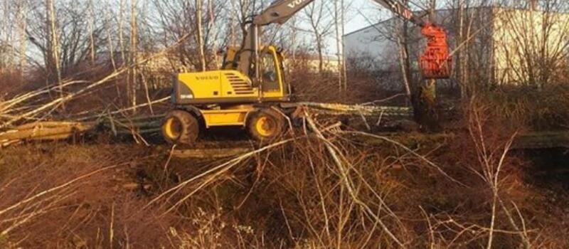 Referenzen Baumfällung