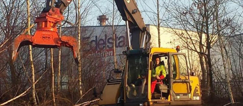 Referenzen Baumfällung