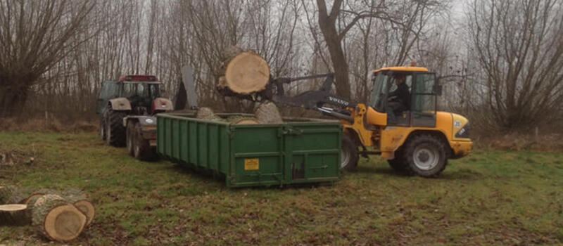 Referenzen Baumfällung