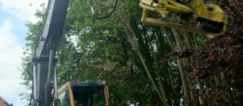 Referenzen Baumfällung