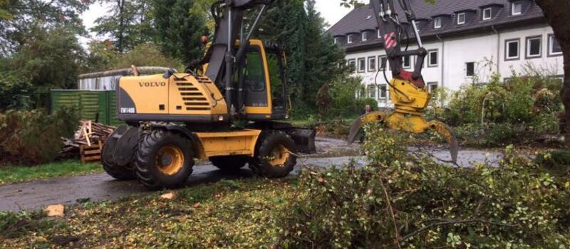 Referenzen Baumfällung