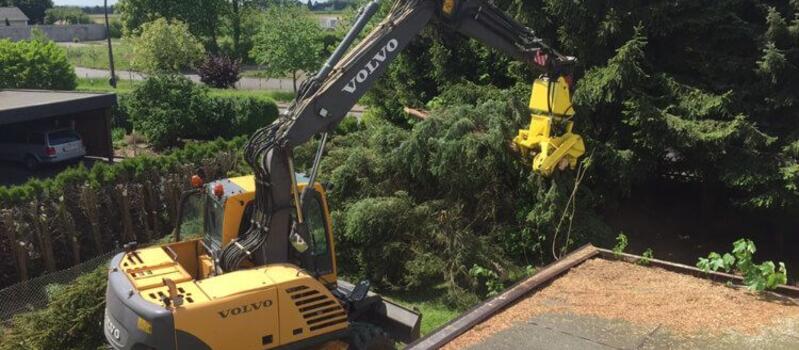 Referenzen Baumfällung