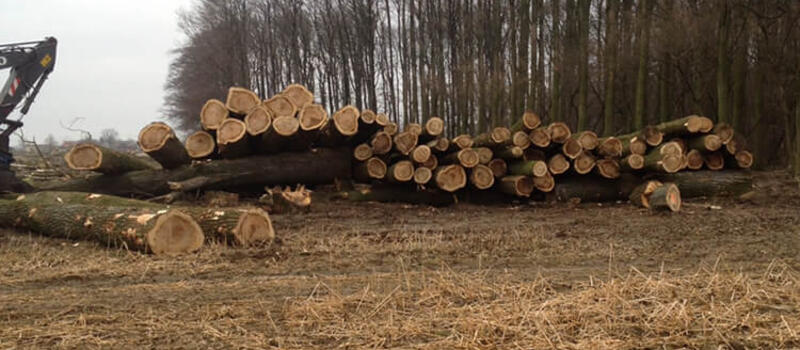 Referenzen - Hackschnitzelhandel