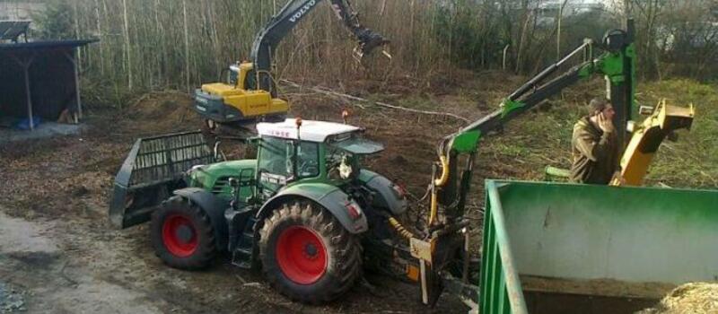 Referenzen Baumfällung