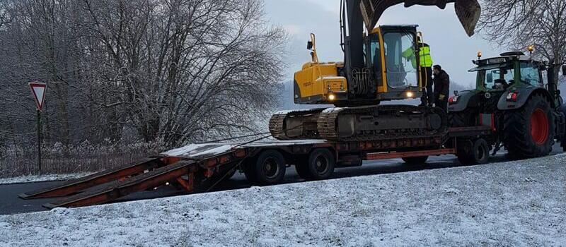 Referenzen Baumfällung