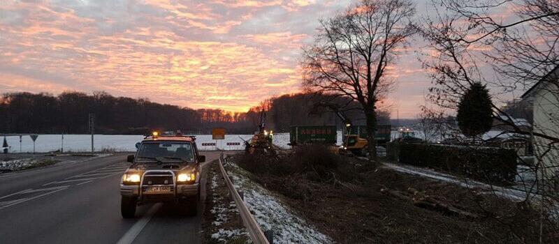 Referenzen Baumfällung