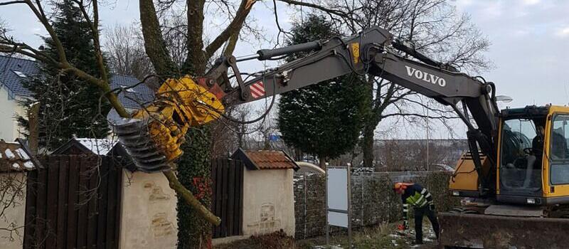 Referenzen Baumfällung