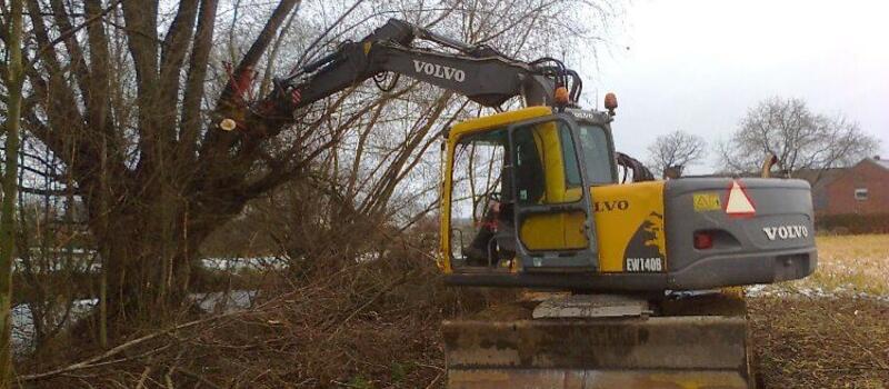 Referenzen Baumfällung