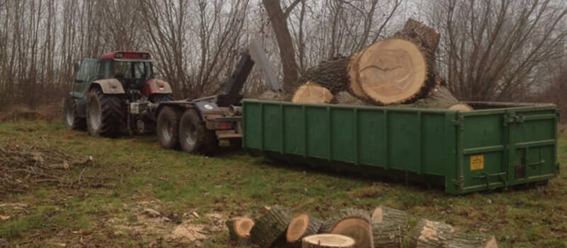 Referenzen Baumfällung