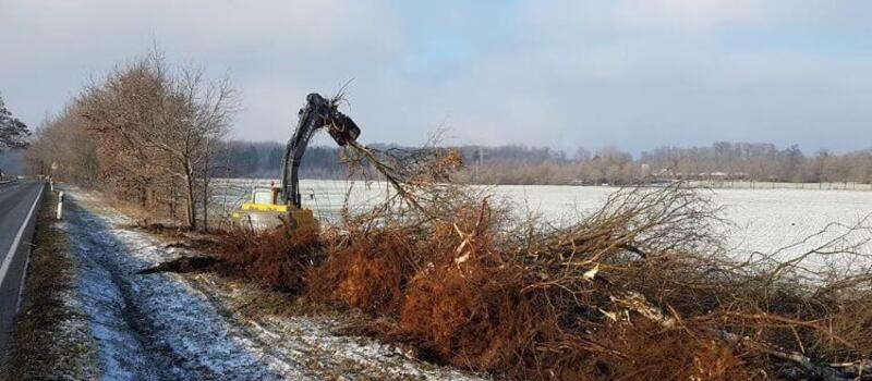 Referenzen Baumfällung