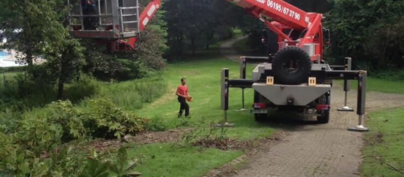 Referenzen Baumfällung