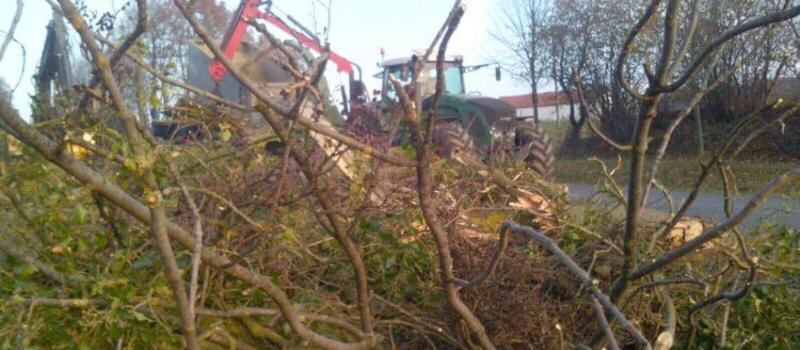 Referenzen - Holzhäckselarbeiten