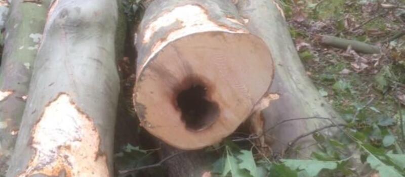 Referenzen - Hackschnitzelhandel