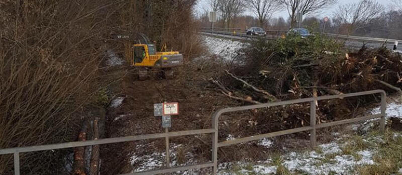 Referenzen Baumfällung