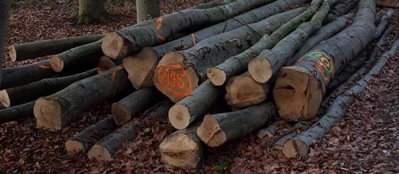 Referenzen - Hackschnitzelhandel